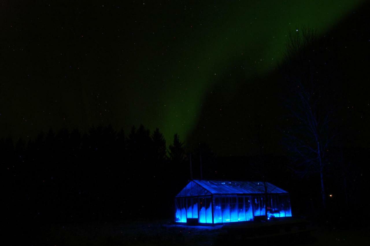 Art Studio Sortland Exterior photo