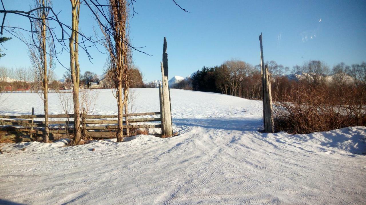 Art Studio Sortland Exterior photo